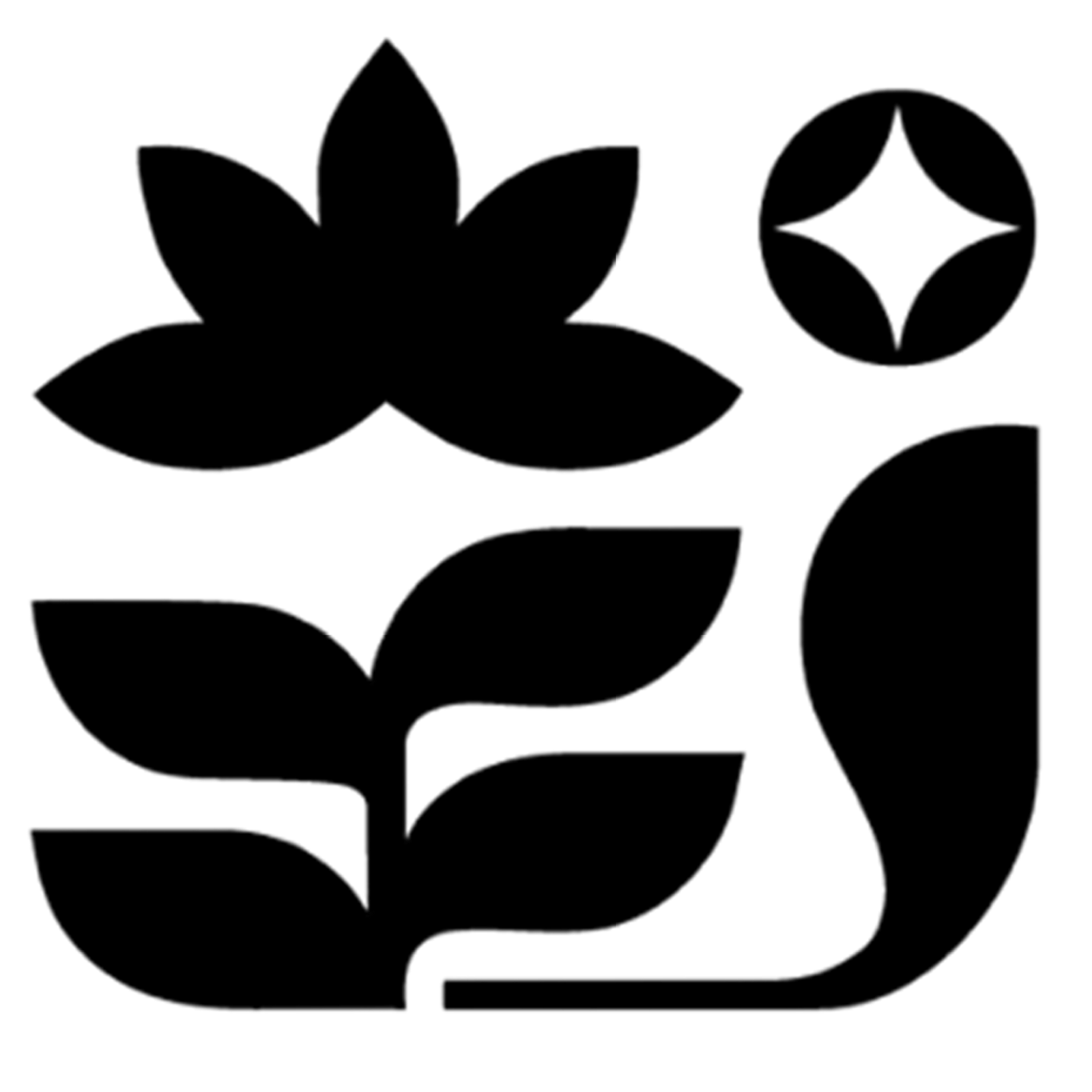 Bravora