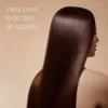 Shampoo Hotelero (60 pz) - Presentación Premium