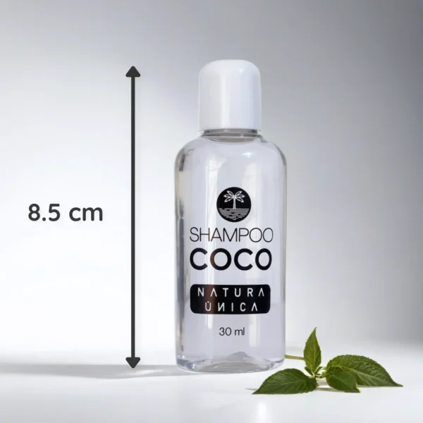 Shampoo Hotelero (60 pz) - Presentación Premium